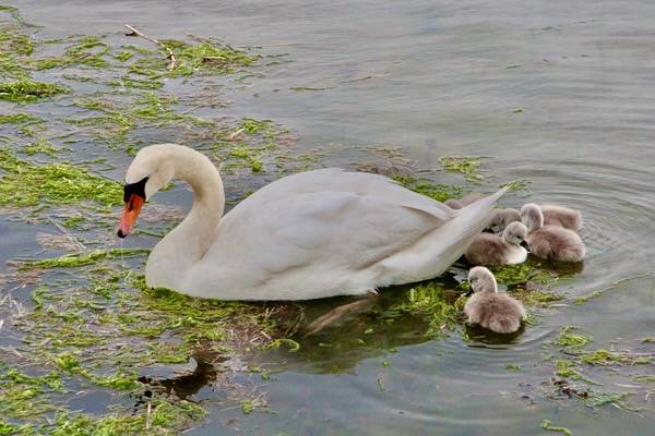 Taken by David Mozzoni in Wakefield, RI